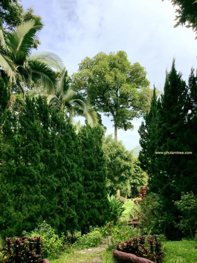 Phutarntree Resort Chiang Mai Exterior foto